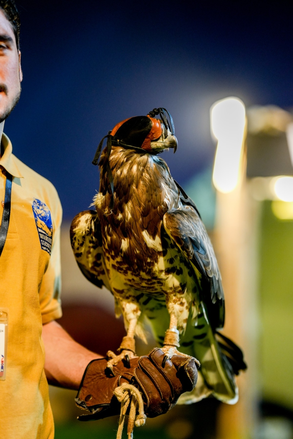 مجلة كل الأسرة