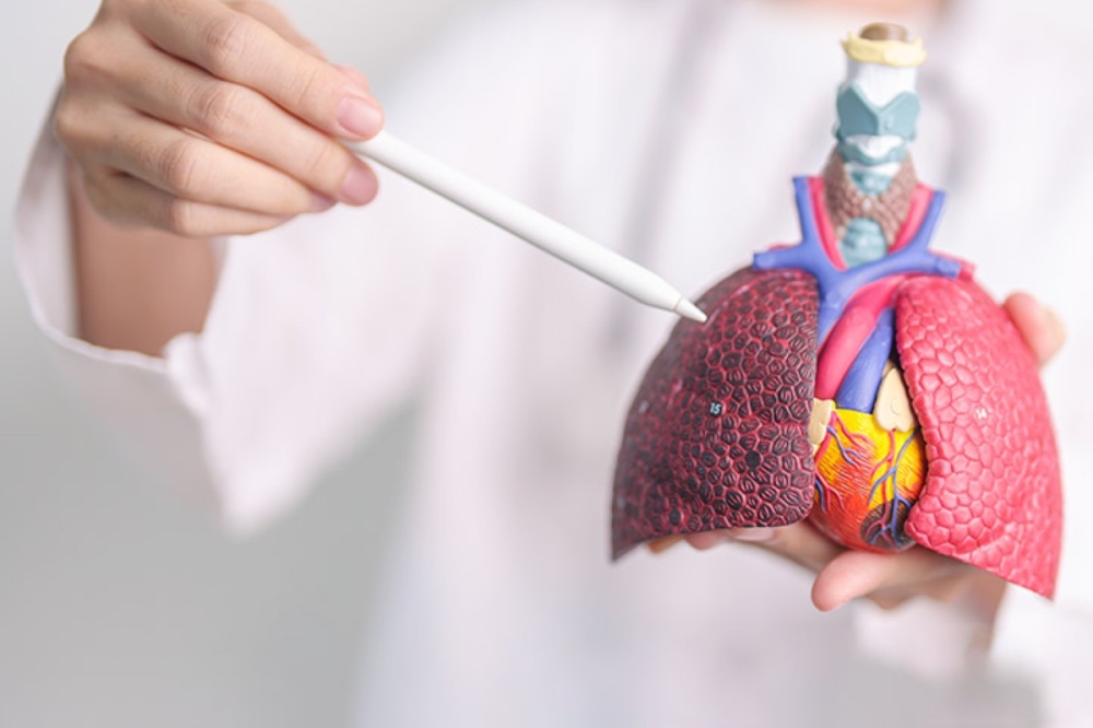 مجلة كل الأسرة