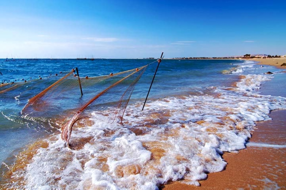 مجلة كل الأسرة