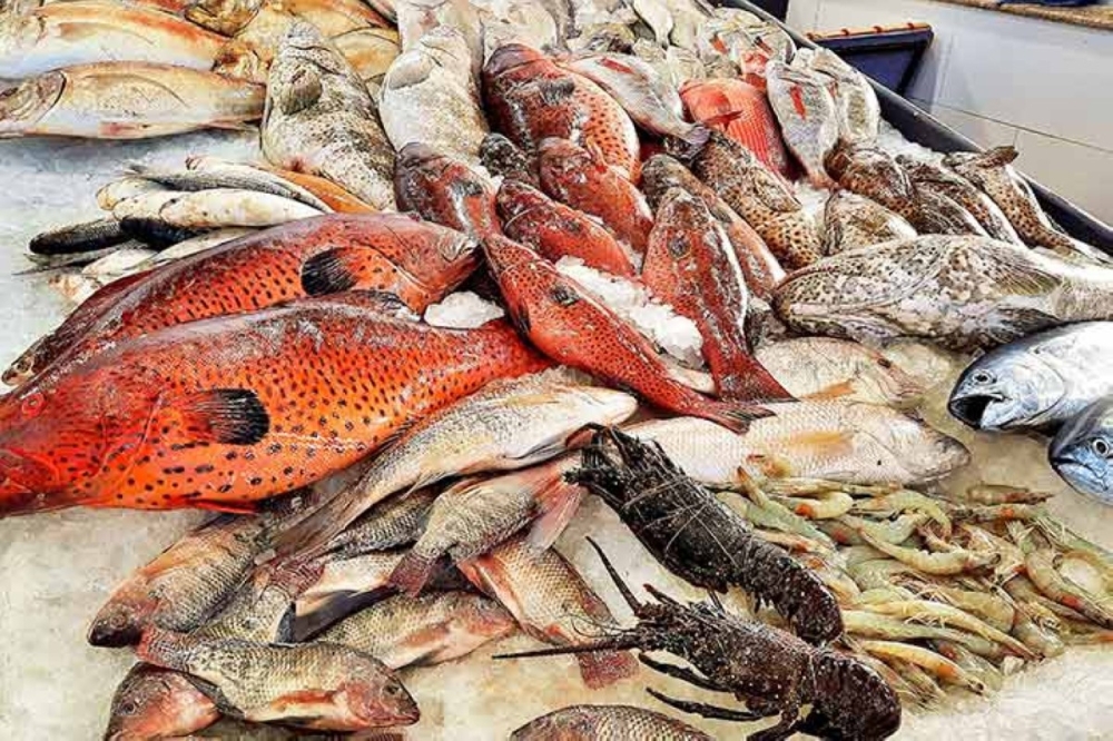 مجلة كل الأسرة