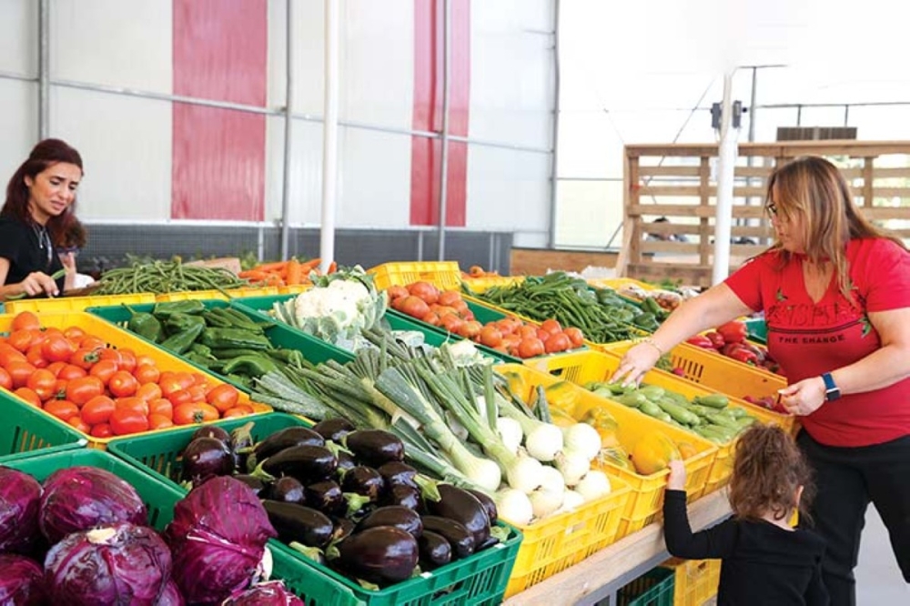 سوق المزرعة سوق المزرعة