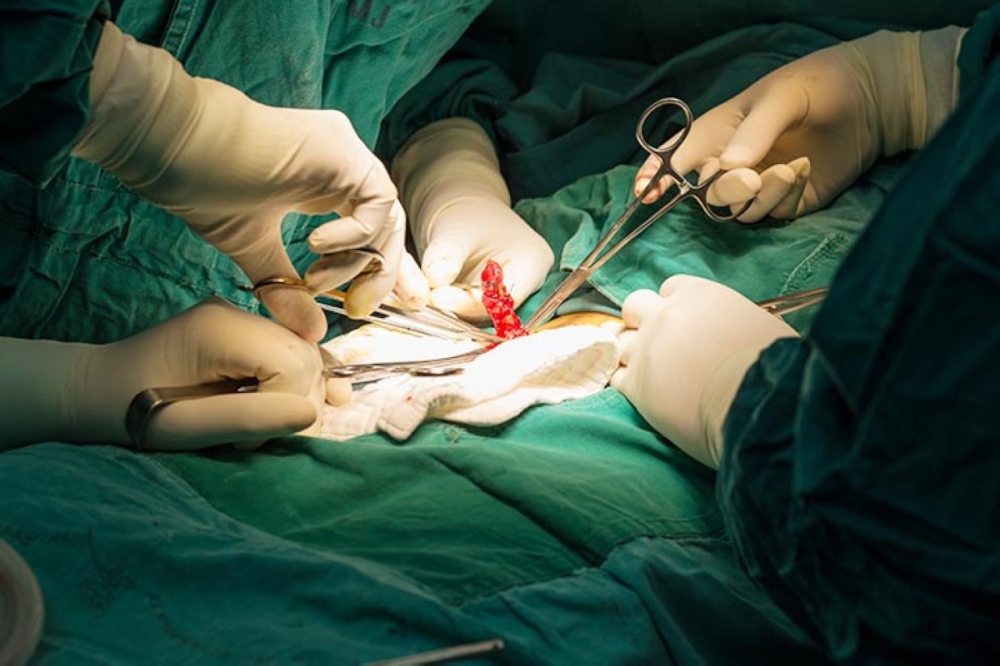 مجلة كل الأسرة