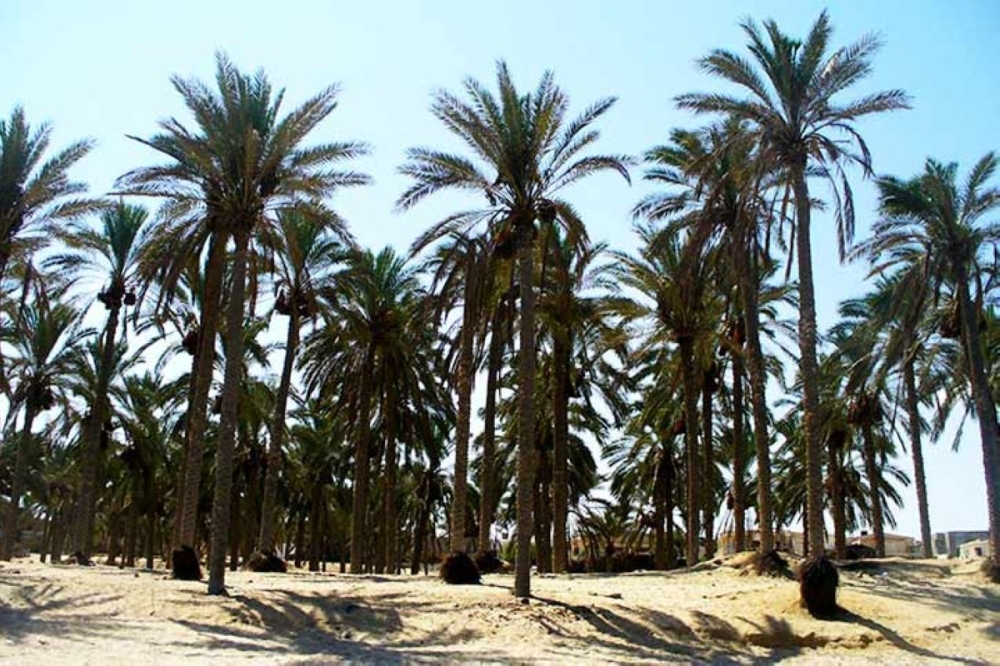 مجلة كل الأسرة
