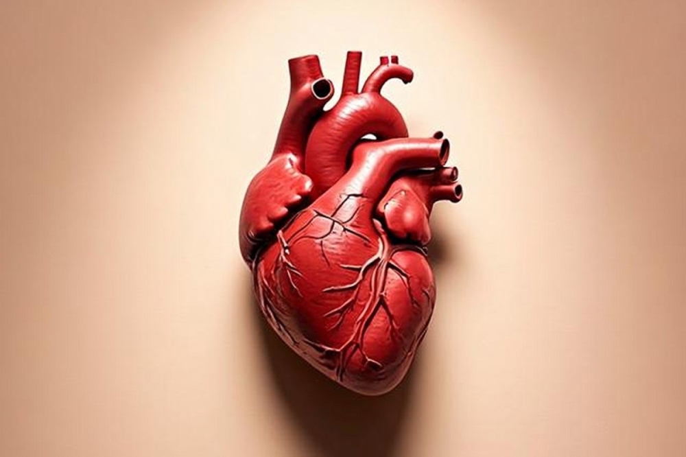 مجلة كل الأسرة