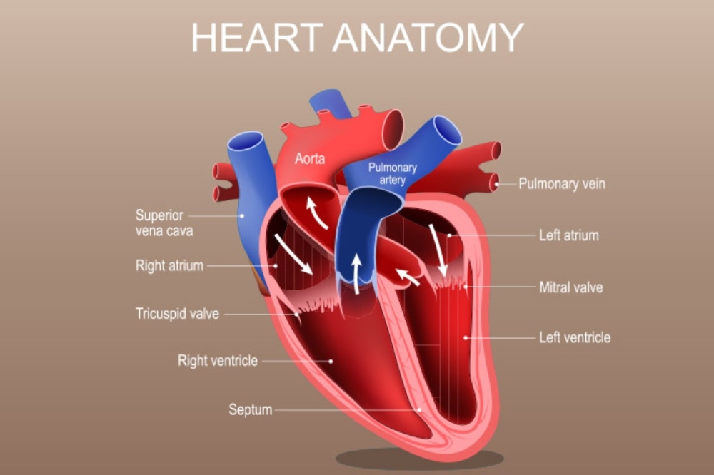 مجلة كل الأسرة