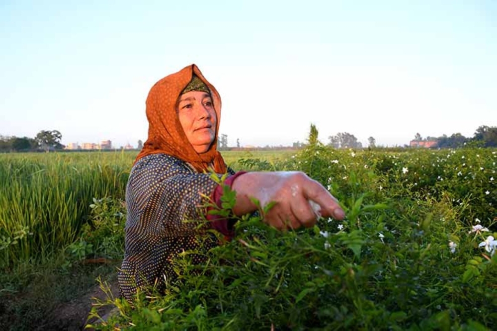 مجلة كل الأسرة