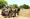 Donkey cart PIC: KENNEDY RAMOKONE