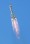 The Long March-2F Y12 rocket, carrying the Shenzhou-12 spacecraft and three astronauts, takes off from Jiuquan Satellite Launch Center on Thursday. Reuters