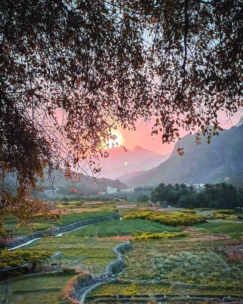 Al Alia Village combines many touristic elements - Oman Observer