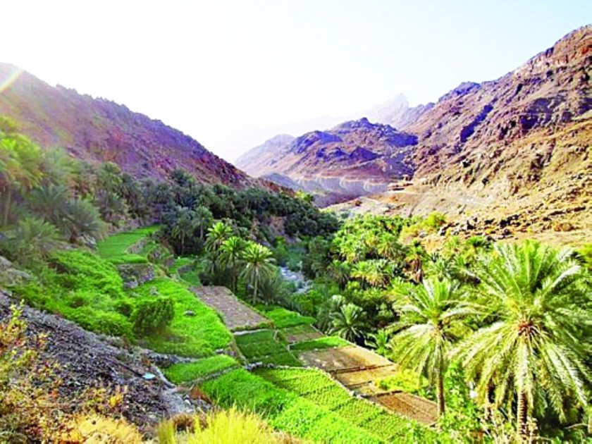 Al Alia Village combines many touristic elements - Oman Observer