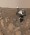 An undated photo provided by NASA/JPL-Caltech/MSSS shows a selfie taken by the the space agencys Perseverance rover over an area where the craft drilled rock samples. (NASA/JPL-Caltech/MSSS via The New York Times)