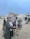 Wisal Al Rashdi with Habibat Malayeen, a camel from Dhofar