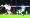 Manchester City's Julian Alvarez shoots at goal REUTERS/