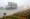 Vehicles ride along a street  amid foggy conditions in Peshawar