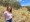 Rebecca Tobin stands under a 330-kilovolt power line on her family's farm near Adelong in southeast Australia December 4, 2023. REUTERS/Peter Hobson