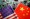 Illustration picture of Chinese and US flags with semiconductor chips. - Reuters File