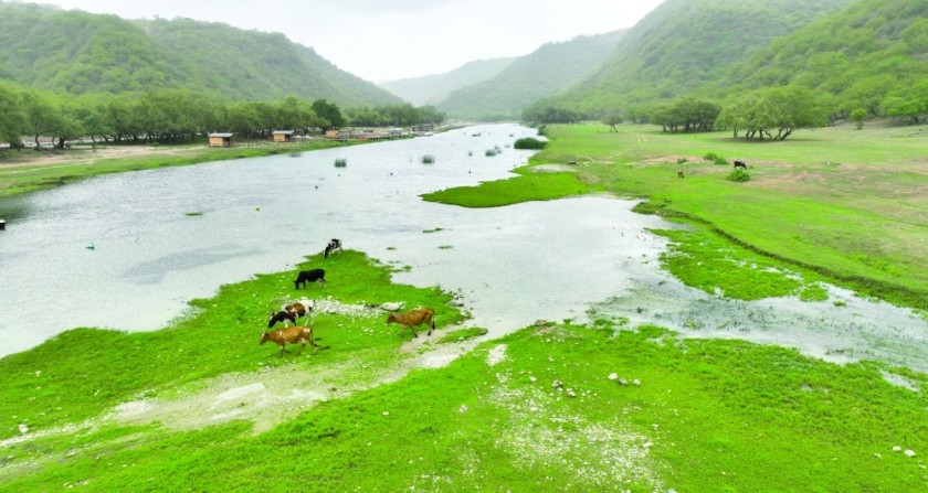 Enjoy a safe Khareef