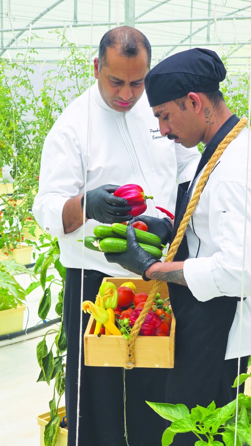 How hydroponics in Jebel Ali Akhdar is shaping the future of local food