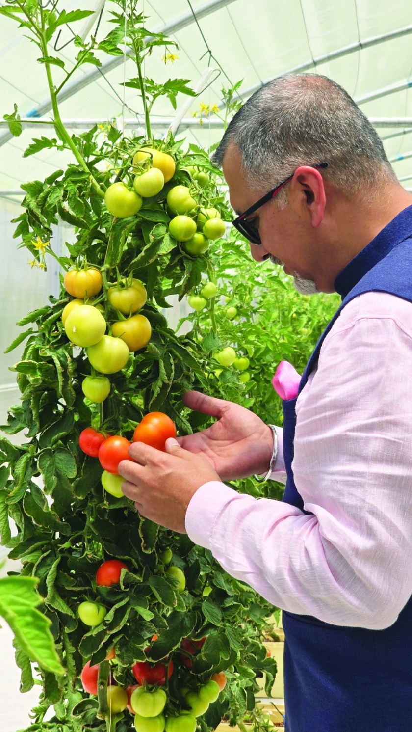 How hydroponics in Jebel Ali Akhdar is shaping the future of local food