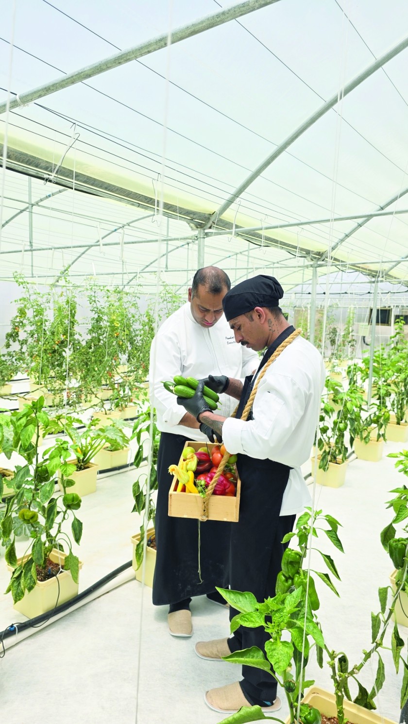 How hydroponics in Jebel Ali Akhdar is shaping the future of local food