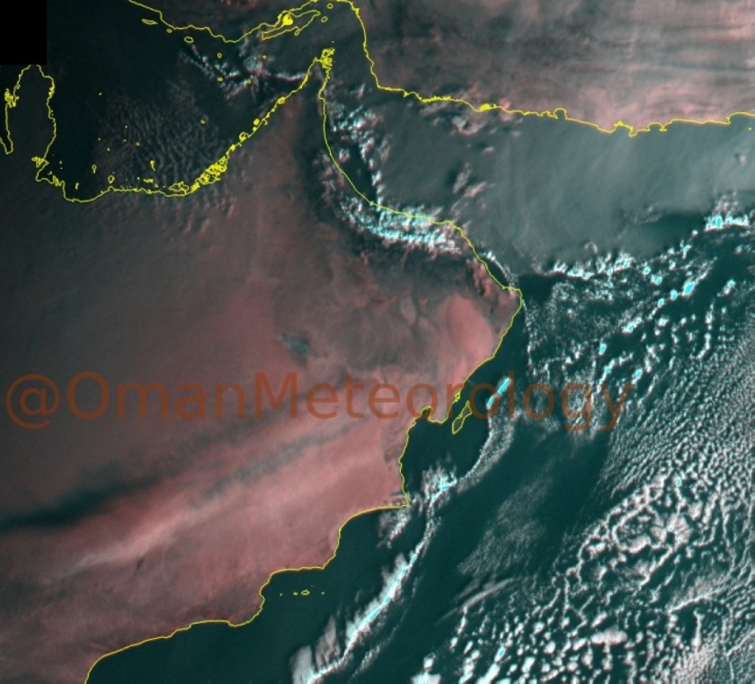 لا توجد صورة